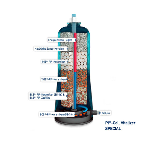PI Cell Vitalizer Special with case