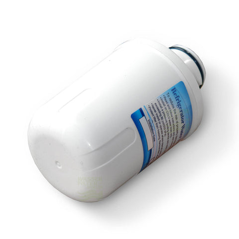 2x Wasserfilter Hanseatic  MFCMG14211FR, MFCMG14211F kompatibel, Icepure RWF4300A